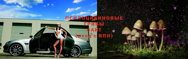 СК Белокуриха