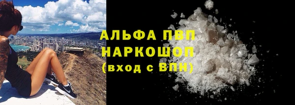 СК Белокуриха