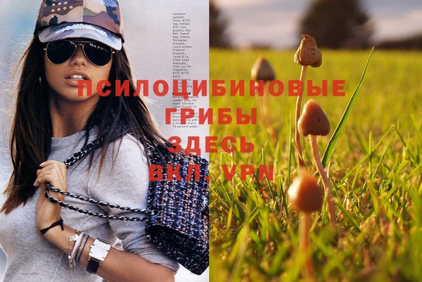 СК Белокуриха