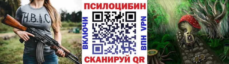 Галлюциногенные грибы MAGIC MUSHROOMS где купить наркоту Гусь-Хрустальный